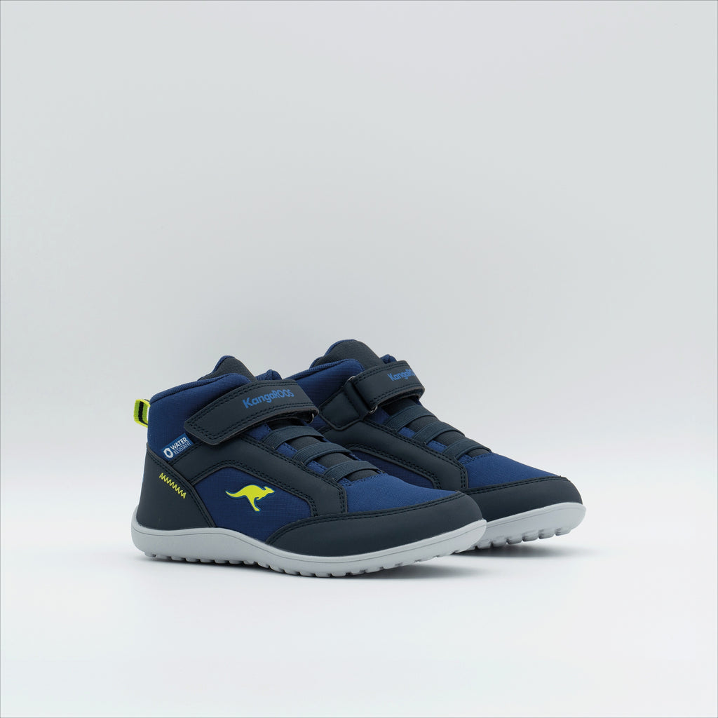 #color_dk-navy-lime