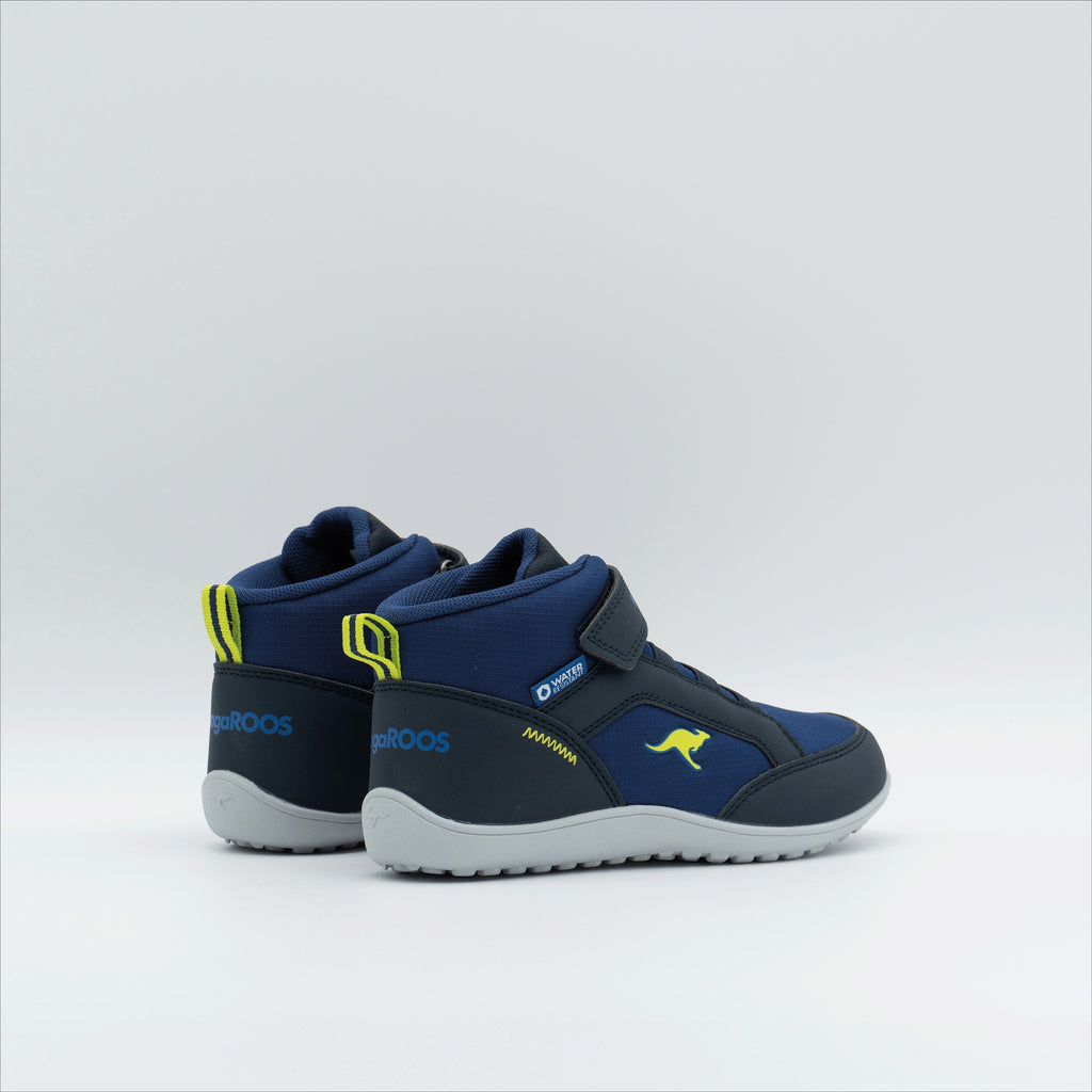 #color_dk-navy-lime