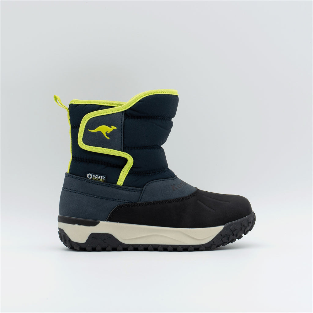 #color_dk-navy-lime