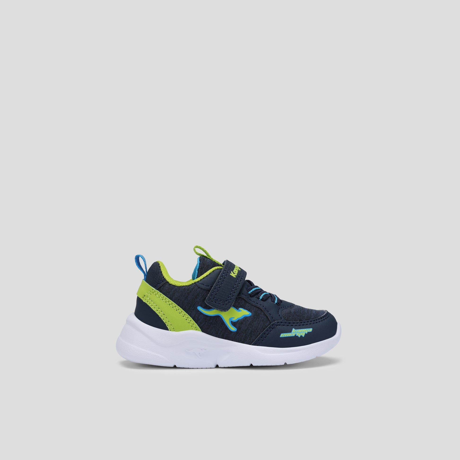#color_dk-navy-lime