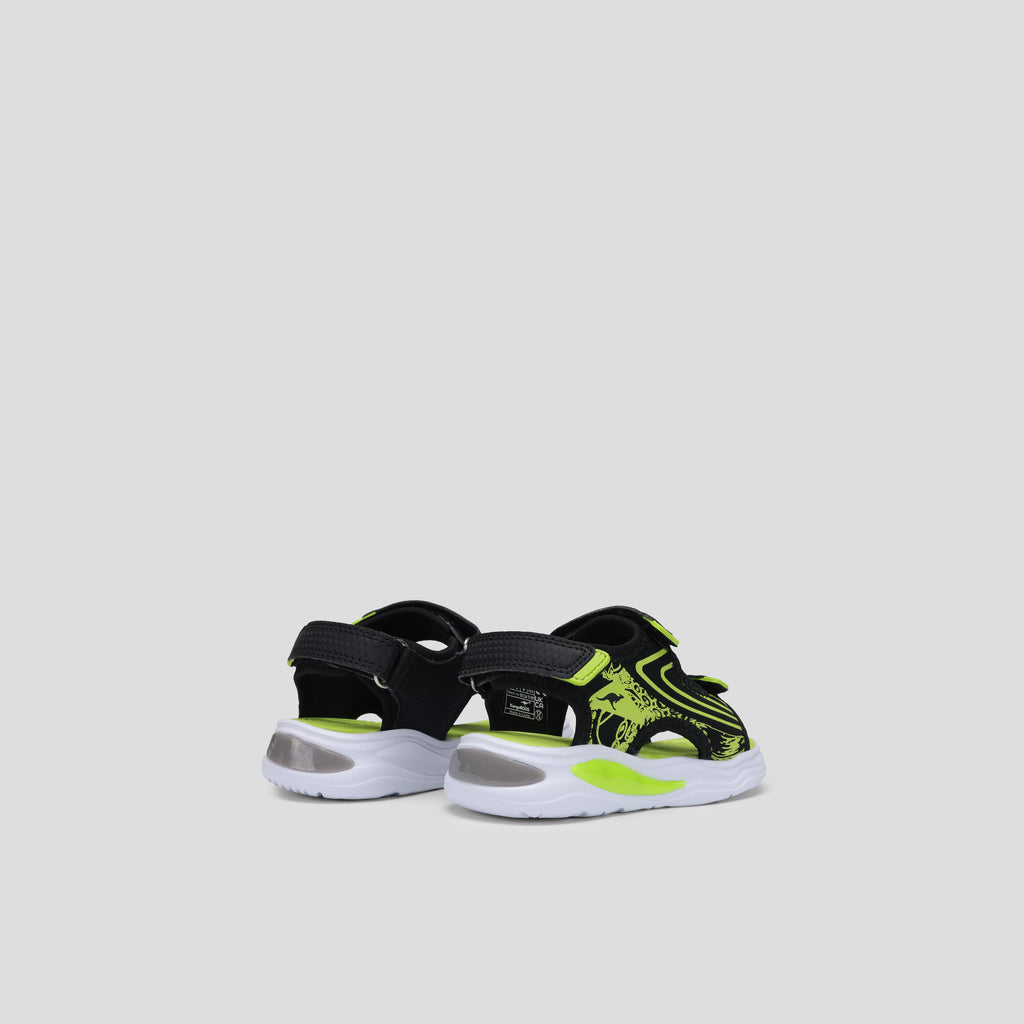 #color_raven-lime