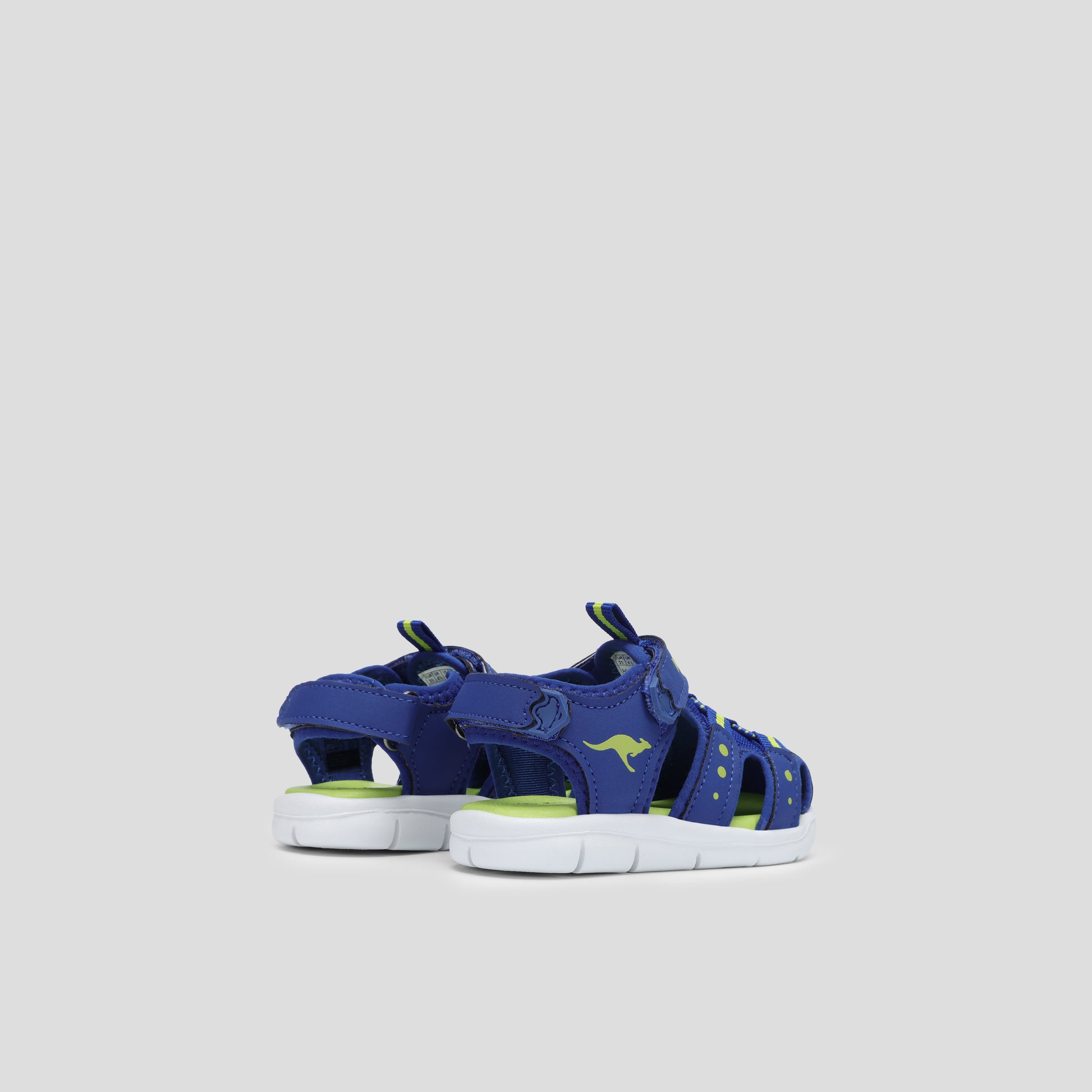 #color_navy-lime