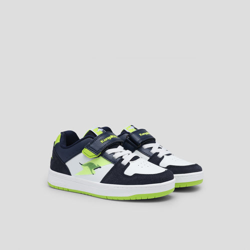 #color_dk-navy-lime