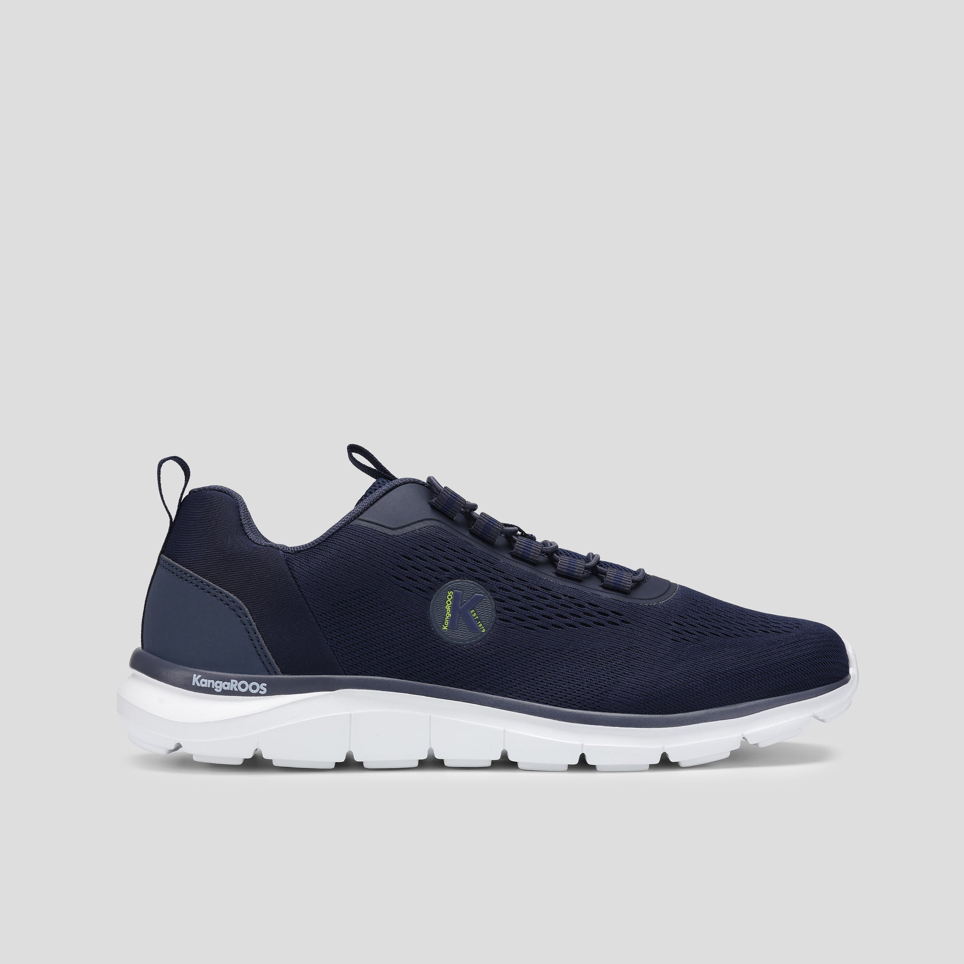 #color_dk-navy-lime