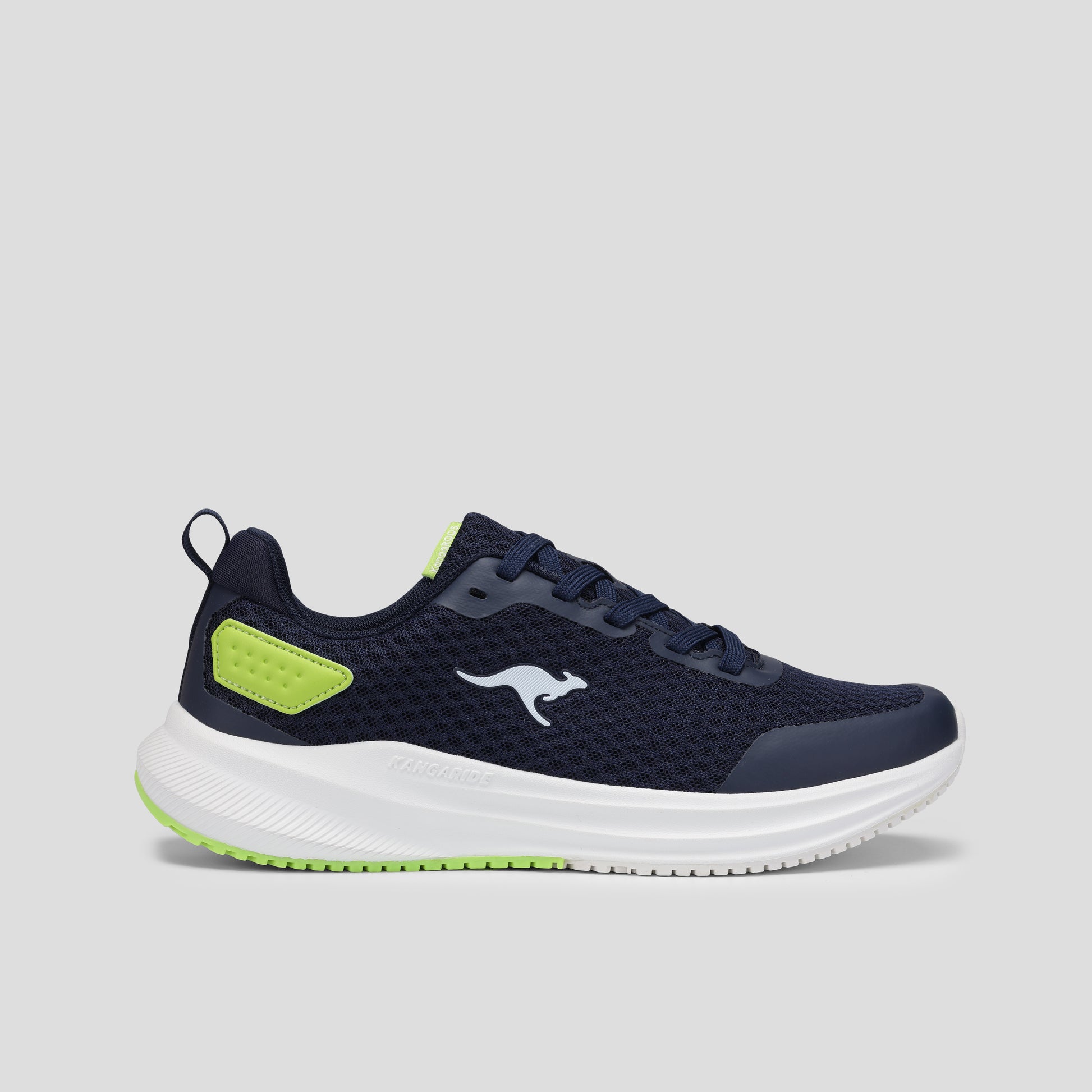 #color_dk-navy-lime