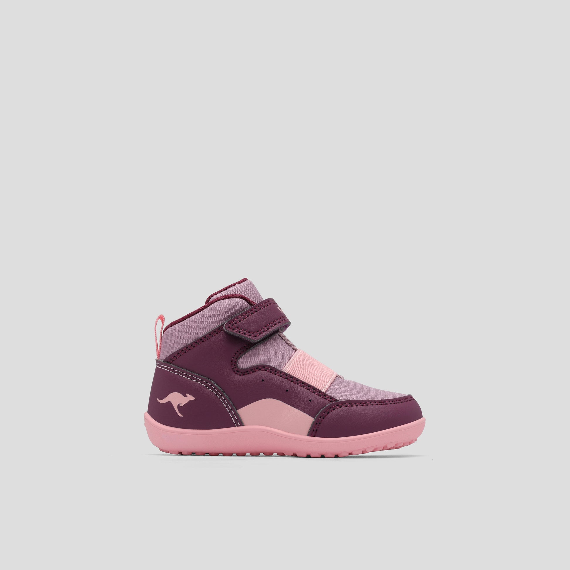 #color_blackberry-daisy-pink